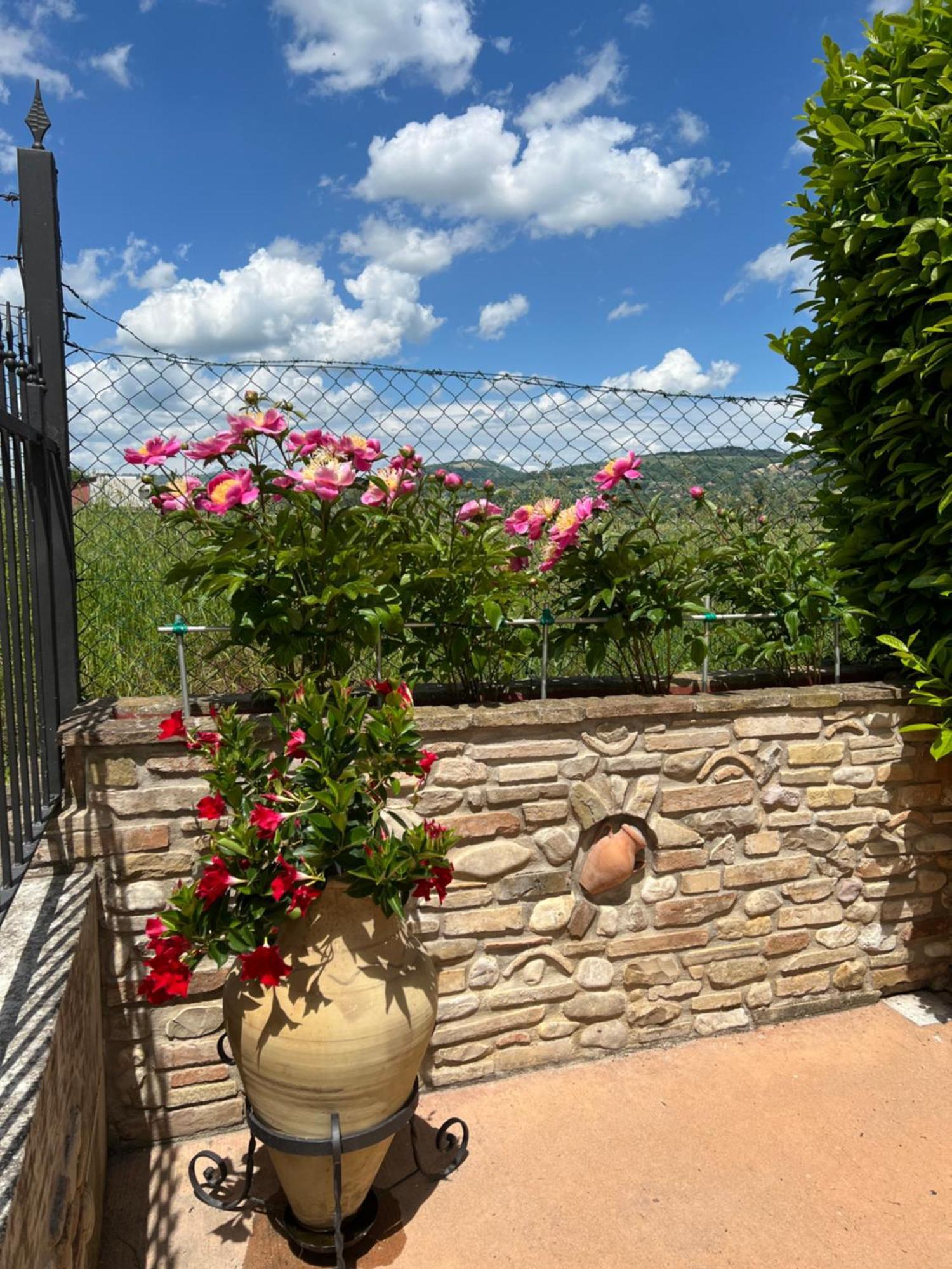 Assisi, La Noce Apartment Exterior photo