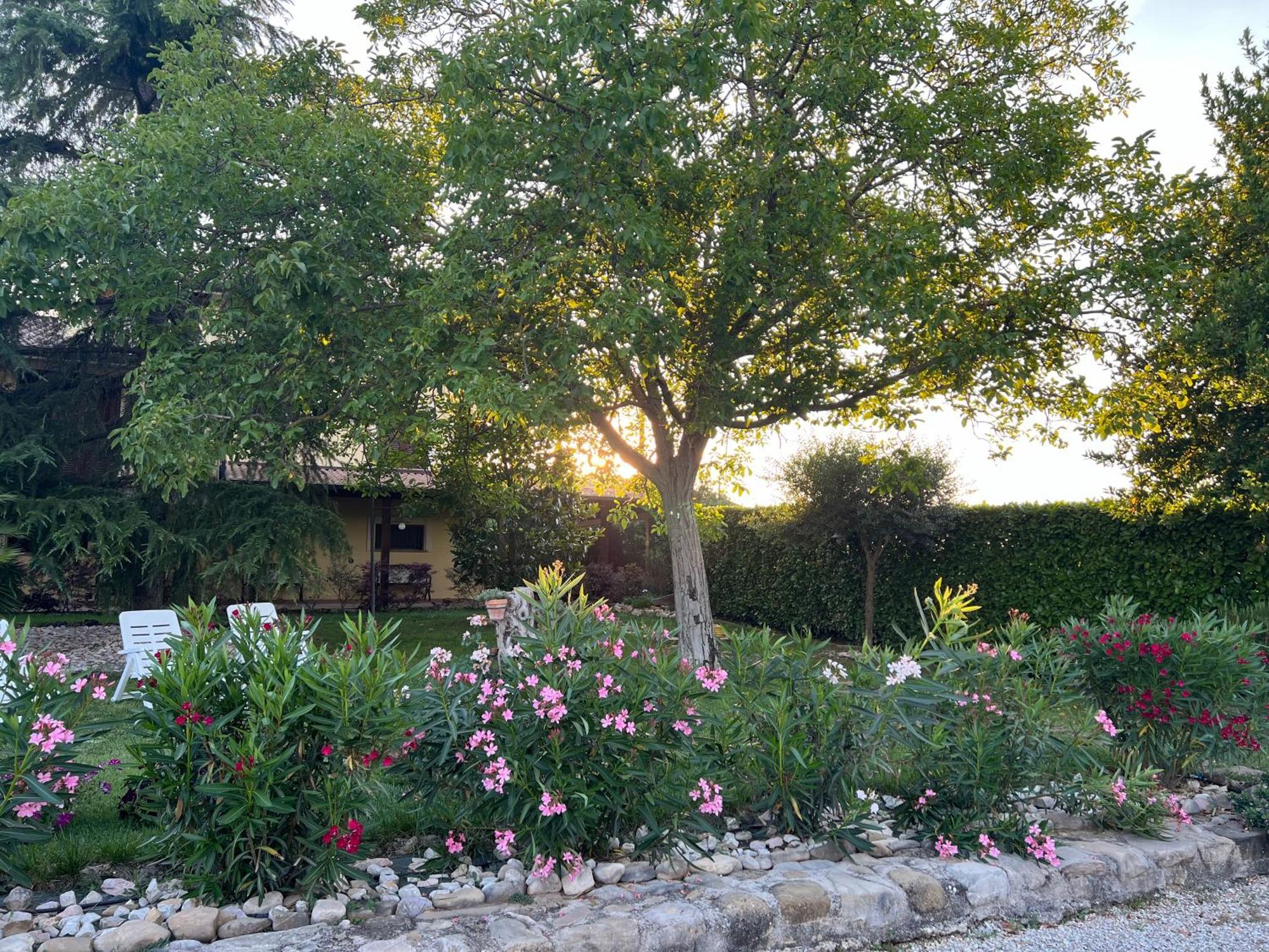 Assisi, La Noce Apartment Exterior photo